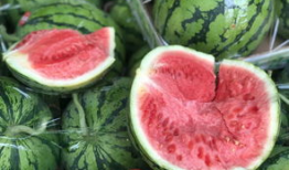 夏邑吃瓜最新事件爆料,揭秘背后惊人真相，网络热议持续升温